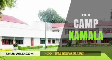 Unveiling Camp Kamala: A Unique Retreat Experience Explained