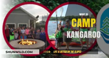 Discover Camp Kangaroo: Fun, Adventure, and Learning for Kids