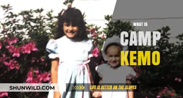 Discover Camp Kemo: A Healing Haven for Young Cancer Warriors