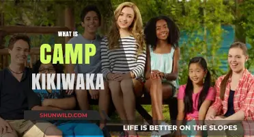 Discover the Magic of Camp Kikiwaka: A Fun Adventure Awaits