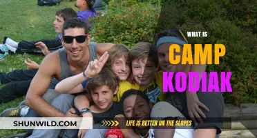 Exploring Camp Kodiak: A Unique Summer Adventure for Youth