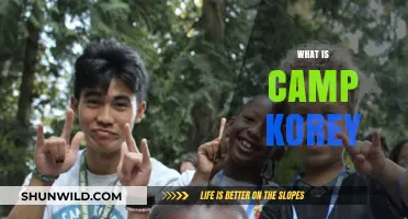 Discover Camp Korey: A Haven for Children with Serious Illnesses
