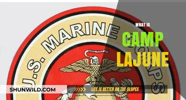 Exploring Camp Lejeune: History, Mission, and Impact on Military Operations