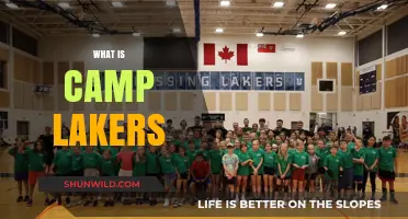 Exploring Camp Lakers: A Unique Summer Experience for Basketball Fans