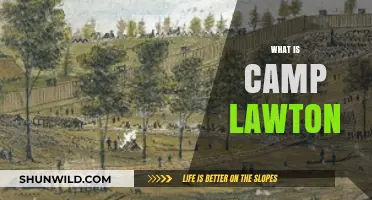 Unveiling Camp Lawton: A Civil War Prison's History and Legacy