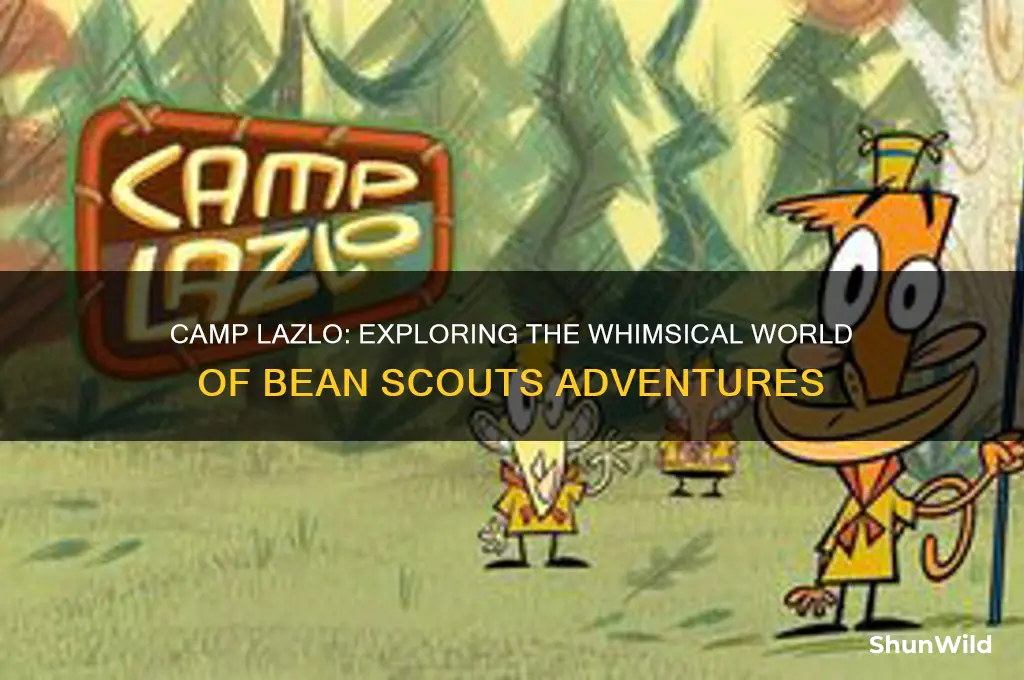 what is camp lazlo on