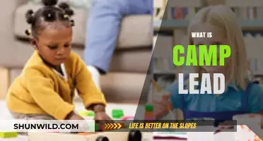 Understanding Camp Lead: Uses, Safety, and Environmental Impact Explained