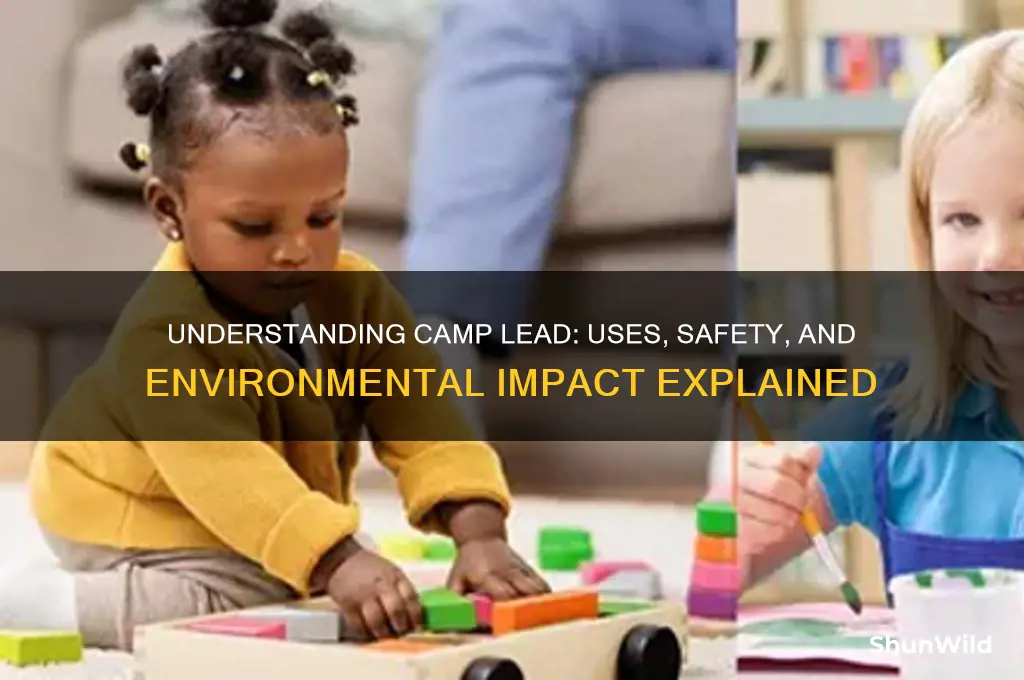 what is camp lead
