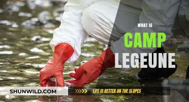 Understanding Camp Lejeune: History, Impact, and Ongoing Legacy Explained