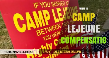 Understanding Camp Lejeune Compensation: Eligibility, Claims, and Benefits Explained