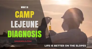 Understanding Camp Lejeune Diagnosis: Causes, Symptoms, and Legal Implications