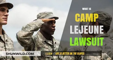 Understanding the Camp Lejeune Lawsuit: Causes, Claims, and Compensation