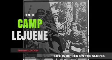 Unveiling Camp Lejeune: History, Impact, and Legacy Explained