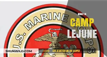 Exploring Camp Lejeune: History, Mission, and Impact on the Community