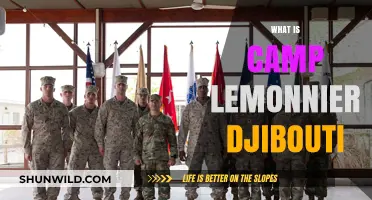 Exploring Camp Lemonnier: Djibouti's Strategic US Military Base