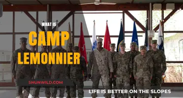 Exploring Camp Lemonnier: Djibouti's Strategic US Military Base