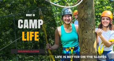 Exploring Camp Life: Adventure, Community, and Outdoor Living Essentials