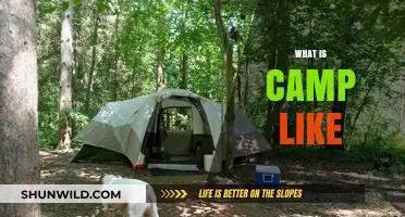 Exploring Camp Life: Adventures, Friendships, and Unforgettable Experiences Await