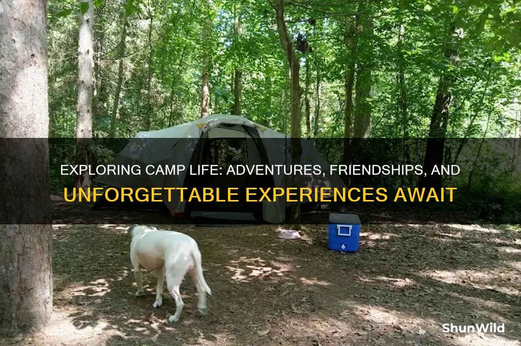 what is camp like