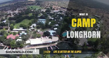 Discover Camp Longhorn: A Summer Adventure for Kids in Texas