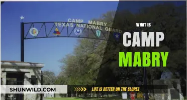 Exploring Camp Mabry: History, Purpose, and Significance in Texas