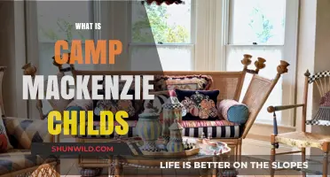 Discover Camp Mackenzie-Childs: A Whimsical Creative Retreat Experience