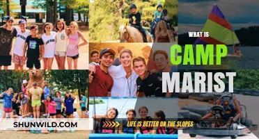 Discover Camp Marist: A Summer Adventure for Youth