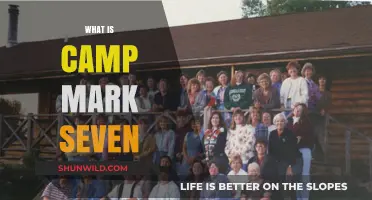 Discover Camp Mark Seven: A Unique Summer Experience for Teens