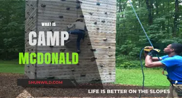 Exploring Camp McDonald: History, Activities, and Unique Features Revealed