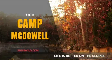 Discover Camp McDowell: A Serene Escape in Nature's Embrace