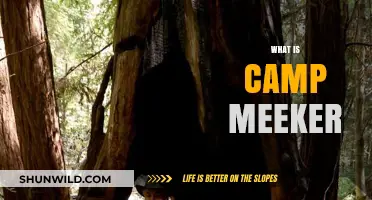 Discovering Camp Meeker: A Hidden Gem in California's Redwoods