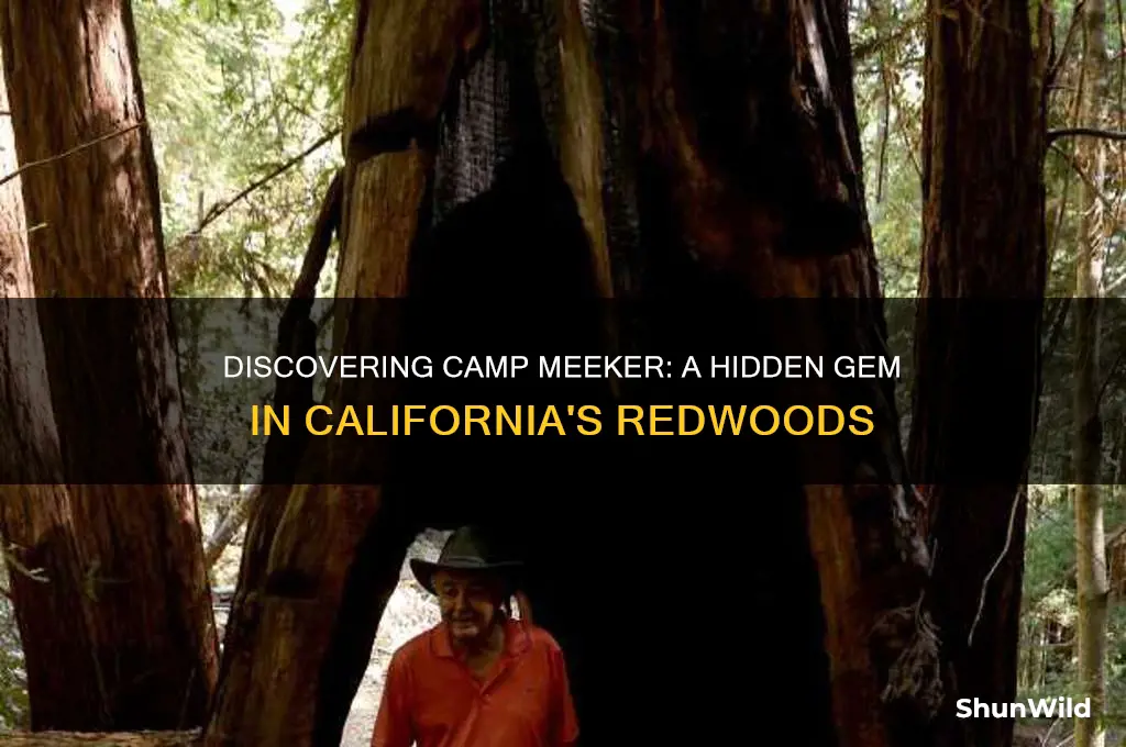 what is camp meeker