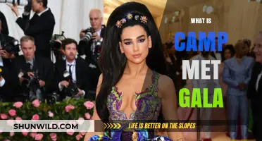 Unveiling the Extravagance: Understanding Camp at the Met Gala