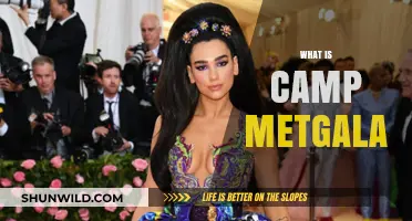 Unveiling Camp: Decoding the Met Gala's Bold Fashion Extravaganza