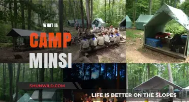 Discover Camp Minsi: A Scouting Adventure in the Pocono Mountains