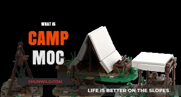 Exploring Camp MOC: A Creative Hub for Art and Innovation