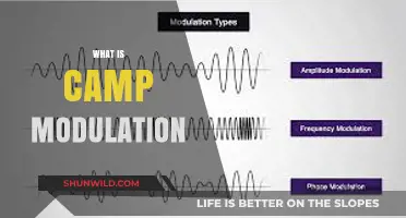 Understanding Camp Modulation: Techniques, Applications, and Benefits Explained