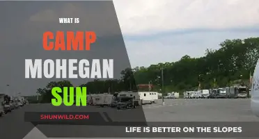 Discover Camp Mohegan Sun: A Unique Family Adventure Experience