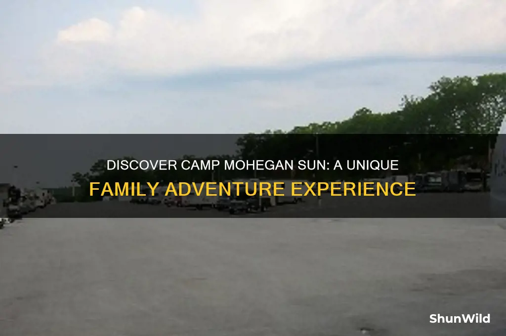 what is camp mohegan sun
