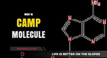 Unveiling Camp Molecule: A Revolutionary Concept in Chemistry Explained