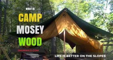Discover Camp Mosey Wood: A Hidden Gem for Outdoor Adventures
