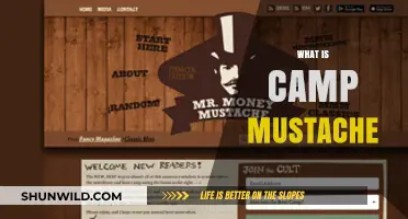 What is Camp Mustache? A Beginner's Guide to Early Financial Independence