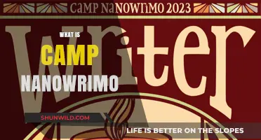 Unleash Your Creativity: Understanding Camp NaNoWriMo's Writing Adventure