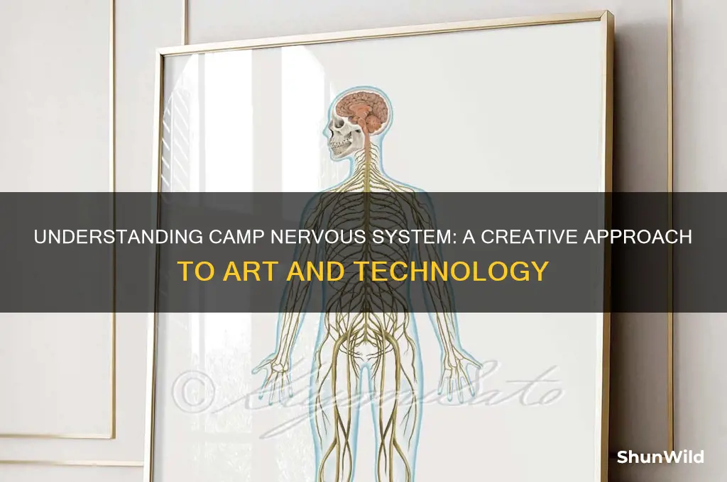 what is camp nervous system