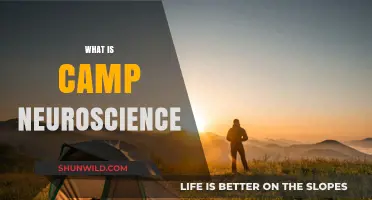 Exploring Camp Neuroscience: Brain Science, Outdoor Learning, and Youth Engagement