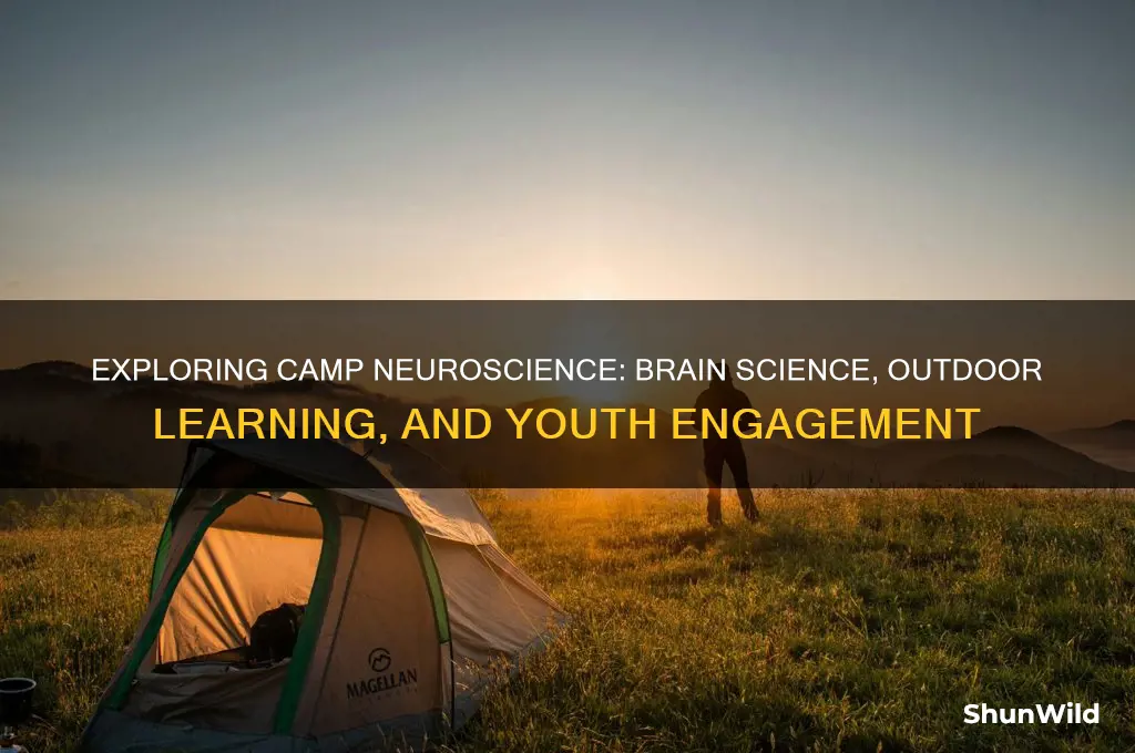 what is camp neuroscience