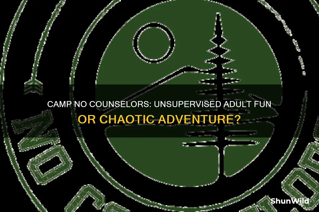 what is camp no counselors