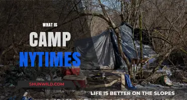 Unveiling the Essence of Camp: A NYTimes Perspective Explained
