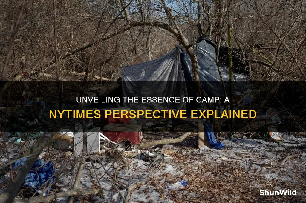 what is camp nytimes