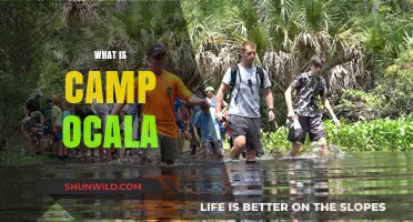 Discover Camp Ocala: A Unique Outdoor Adventure Experience in Florida